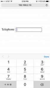 The "telephone" input field in HTML5 defaults to numbers on a mobile browser.