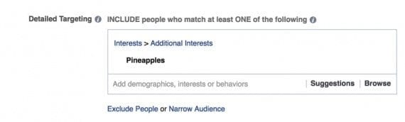 The three options in Detailed Targeting: Include, Exclude, and Narrow.