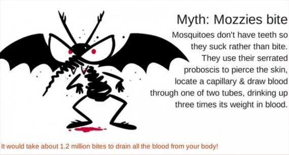 The U.K.'s Malaria No More has created mosquito fact images for folks to share on social media in honor of World Mosquito Day.