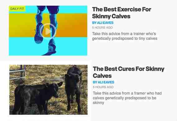 Let the magazine headlines inspire your content. In this example, an article about calves becomes an article about a different sort of calves. <em>Calf photo: Regina on Flickr.</em>