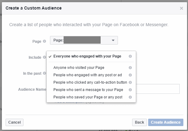 "Page" options within Engagement on Facebook.
