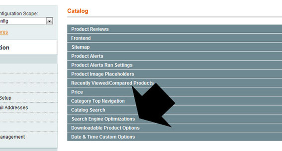 Detail of Magento admin showing 'Search Engine Optimizations' tab.