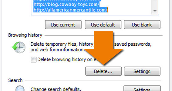 Detail of the Browsing History's "Delete" button.