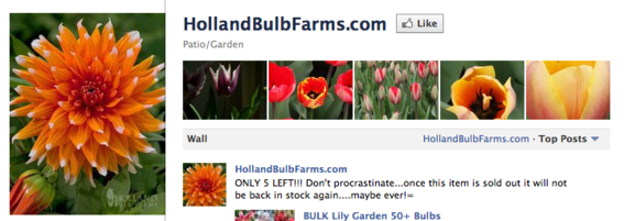 Holland Bulb Farms also features products in its photo strip.