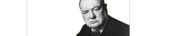 Winston Churchill Lectures, by Rufus J. Fears.