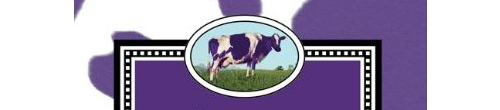 Purple Cow by Seth Godin.