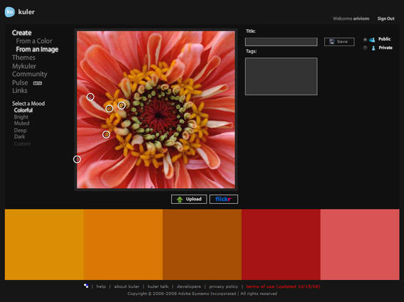 Use Adobe Kuler to pull color schemes off of an image.