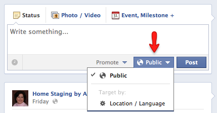 Use the Public button to select targeting options.