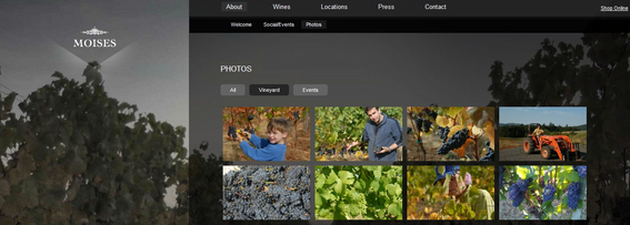 At full size, the Moises Wines site shows images in several columns, and features a photo of vineyards in the background.