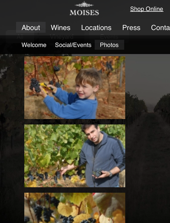 At its minimum width, the Moises Wines site shows only a single column of photos, and no longer highlights the background image.