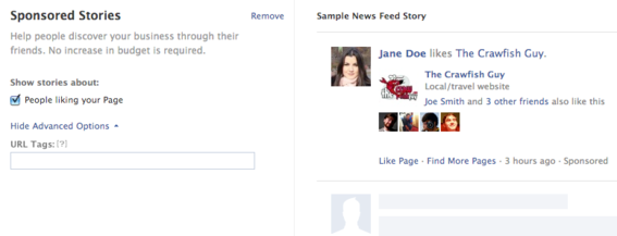 Facebook includes Sponsored Stories as one advertising option.