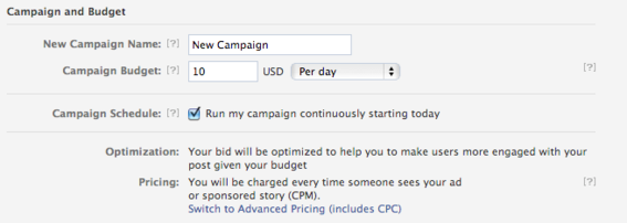 The final step includes setting a campaign budget.
