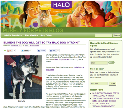 Halo's blog addresses people and search engines.