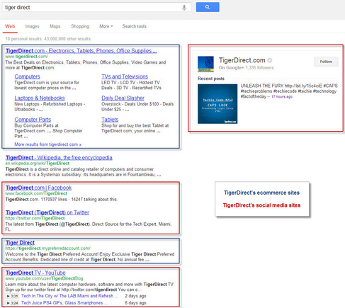 TigerDirect's branded Google search results page