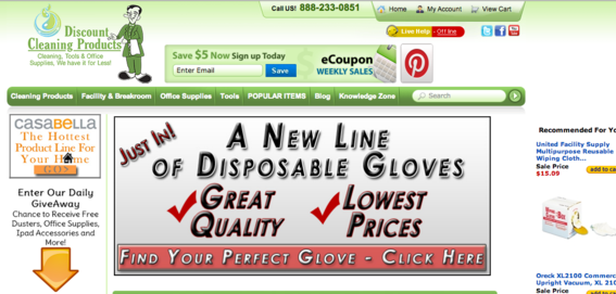 The Discount Cleaning Supplies site.
