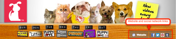 The Pet Collective channel art includes links to its website and social networks.