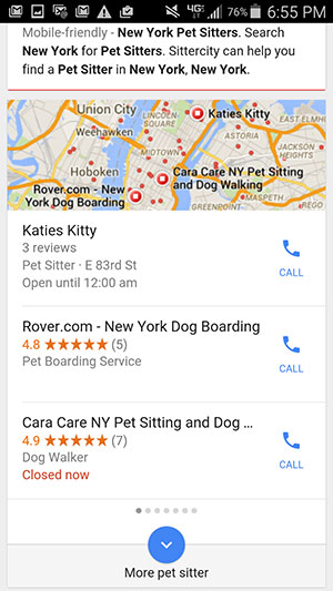 Pet sitters shown on Google My Business, top of search result pages.