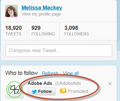 Example of a promoted account.