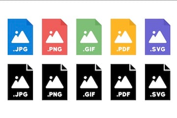Different Image Format Example Differences Between Image Types