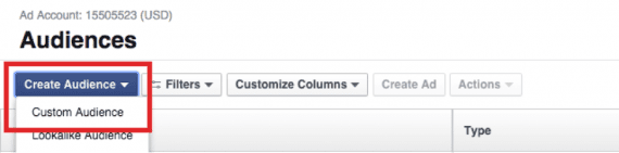After clicking “Create Audience,” choose “Custom Audience.”