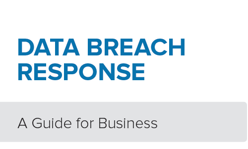 A breach that exposes customers' data carries enormous potential liability to an ecommerce business. A new guide — “Data Breach Response Guide for Business” — from the U.S. Federal Trade Commission addresses the subject.