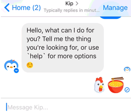 Interface for Kip Conversational Commerce Agent.
