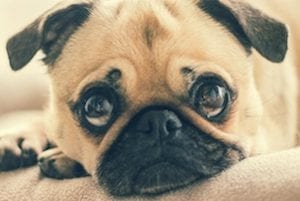 5 Content Marketing Ideas for May 2017