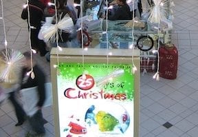 Will Shopping Malls Survive?