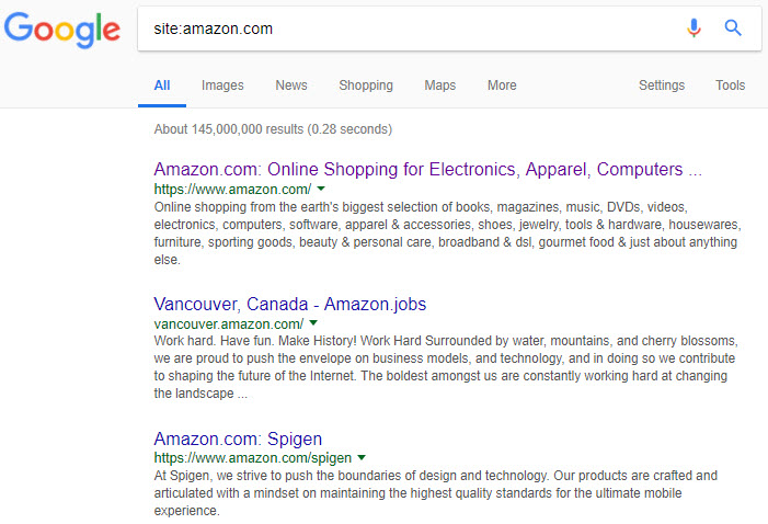 A site query for Amazon.com in Google’s web search.