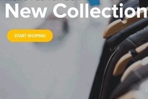 11 Free WordPress Ecommerce Themes for 2018
