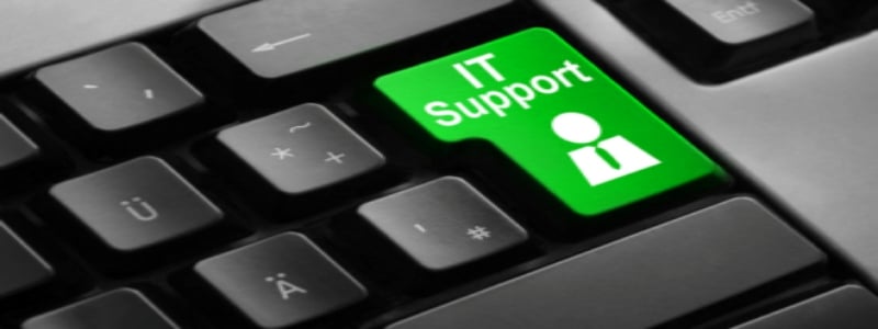 IT controls search engine access to your site. Improving relationships and processes between the SEO and IT teams ensure support is in place before a critical need arises.