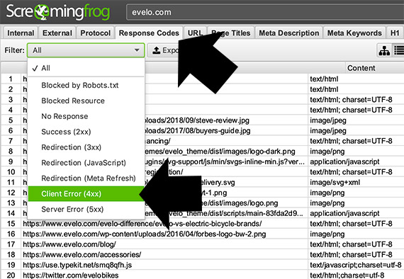 Select the "Response Codes" tab then filter for "Client Error (4xx)."