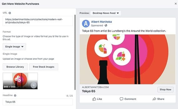 There are several options to customize a Facebook ad.