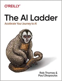 The AI Ladder