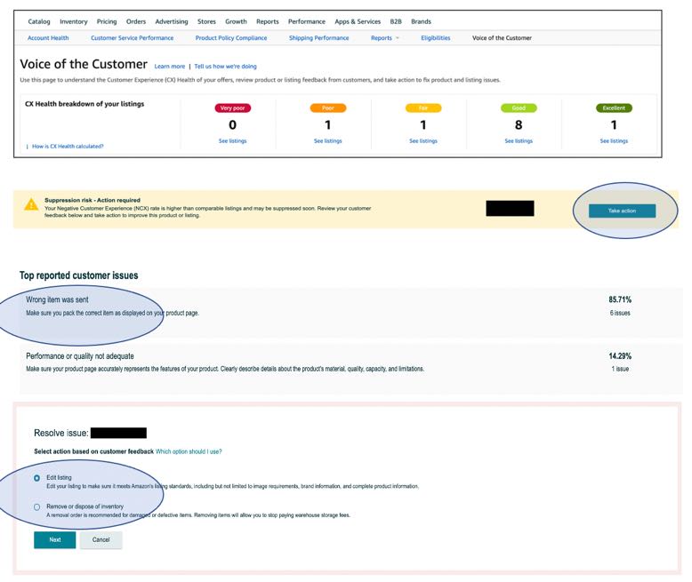 Screenshot of Voice of Customer page.