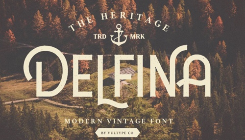 Home page of Delfina font