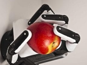 Image of a soft-hand robot holding a fresh apple