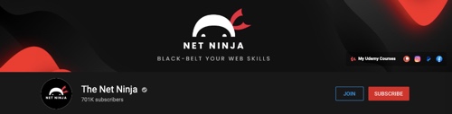 YouTube channel page for The Net Ninja