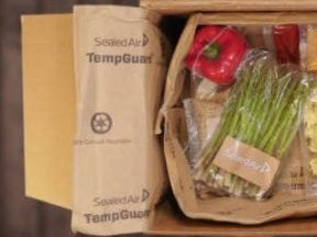 Screenshot of TempGuard packaging from SealedAir