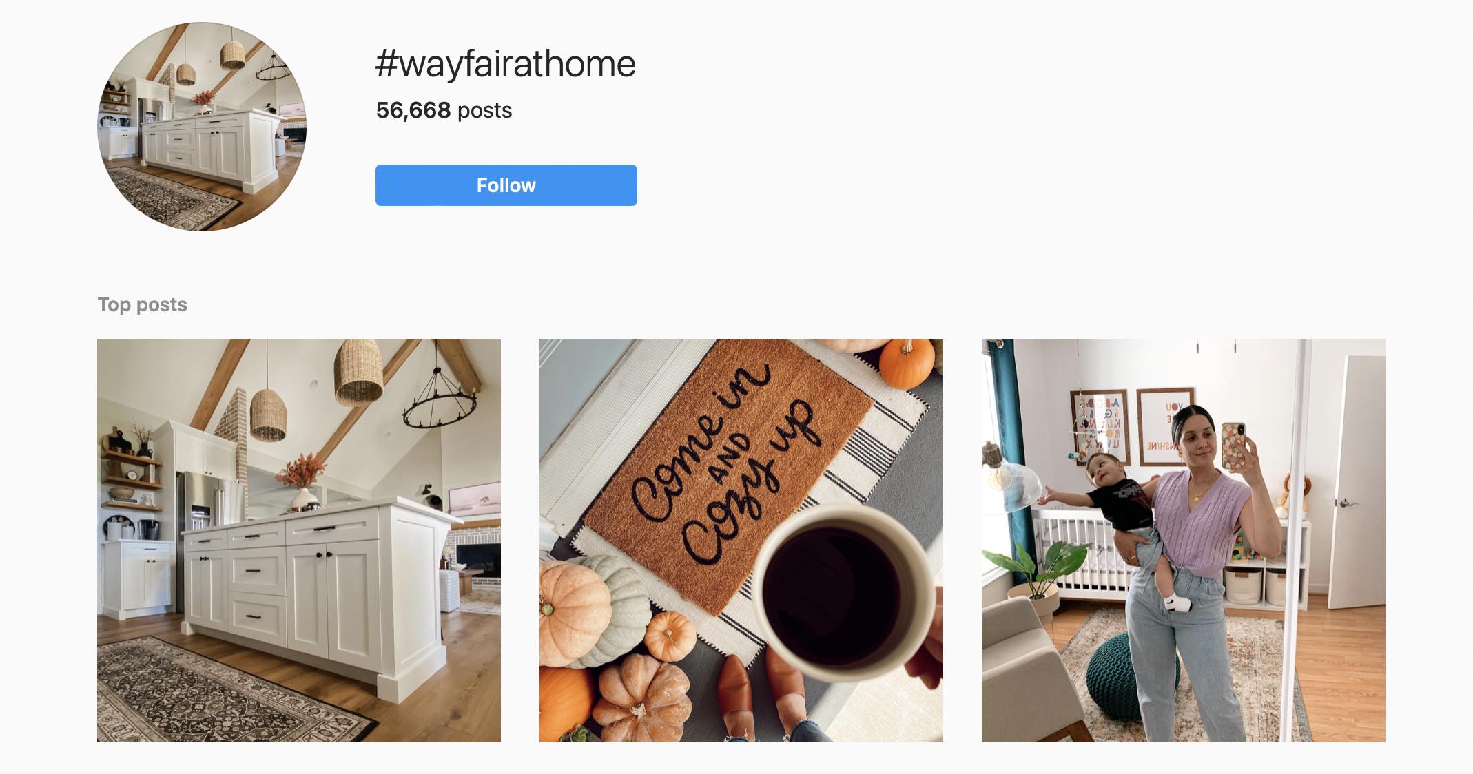 Screenshot of Wayfair's Instagram page showing customers