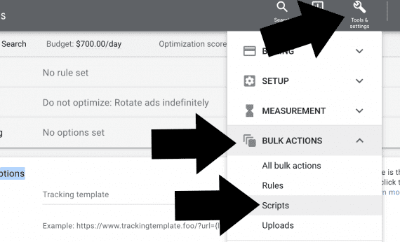 Screenshot of Google Ads admin section for setting up a custom script