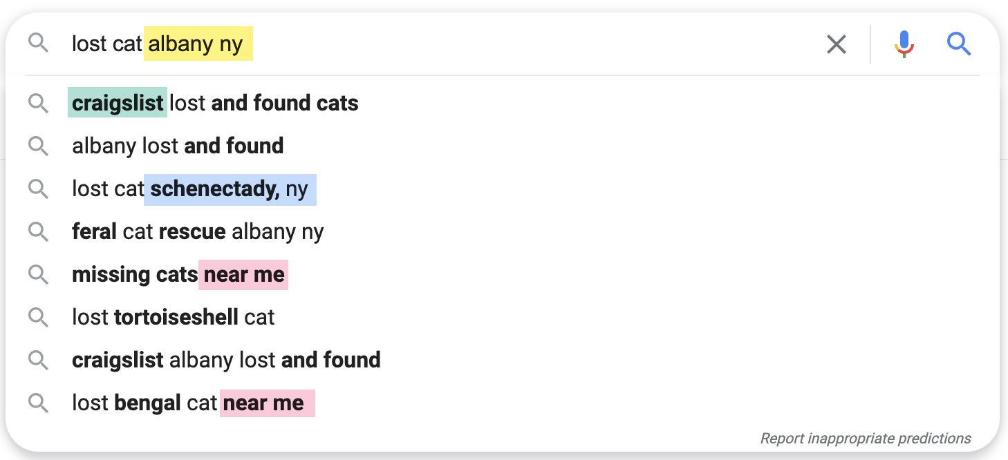 Screenshot showing refinements for "lost cat albany ny" search