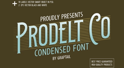 Prodelt Co home page