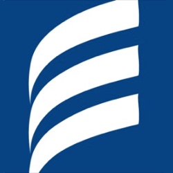 Practical e-commerce logo icon