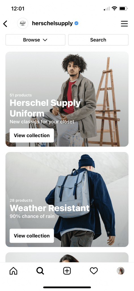 Screenshot fo Hershel Supply's Instagram shop