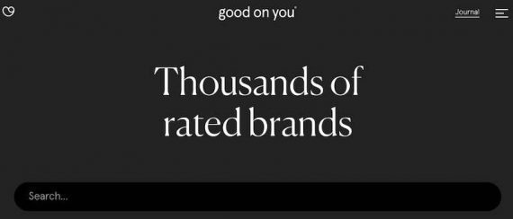 Screenshot of reading the Good On You webpage "Thousands of rated brands."