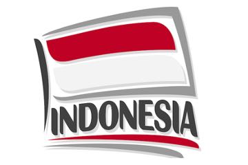 Indonesia, an Neglected Ecommerce Market