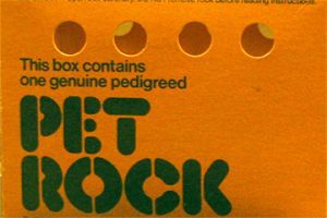 Image of a Pet Rock box