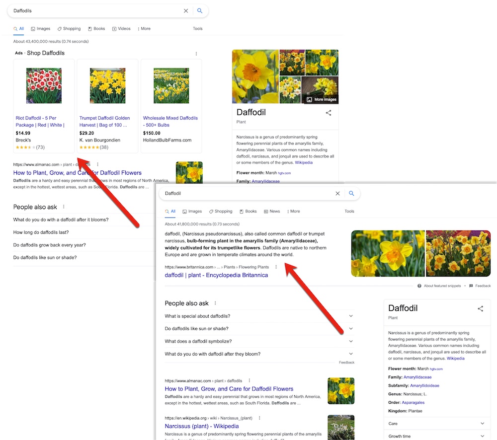 Capturas de tela dos resultados da pesquisa para "narcisos" e "narciso"