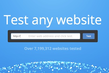 Screenshot from NIbbler reading "Test any website"